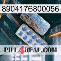 8904176800056 39